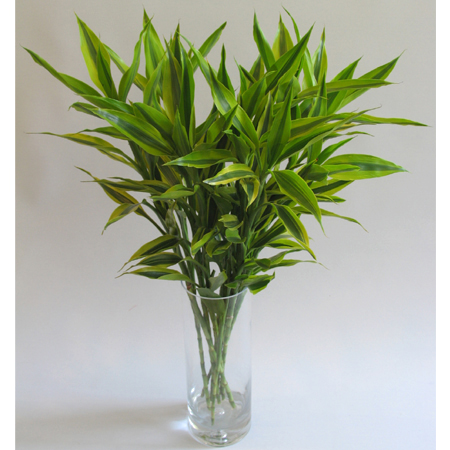 玻璃的风水禁忌